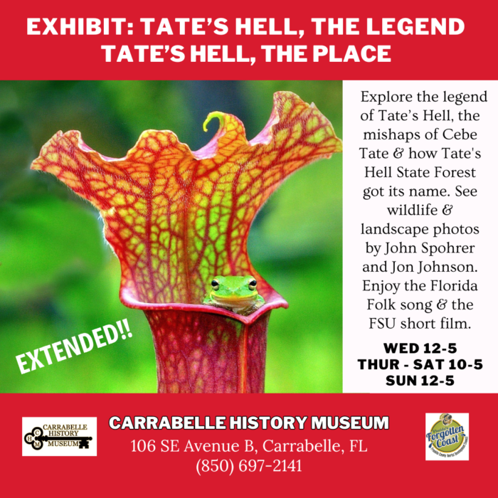 Gallery 1 - Tate's Hell, the Legend, Tate's Hell, the Place: Exhibit